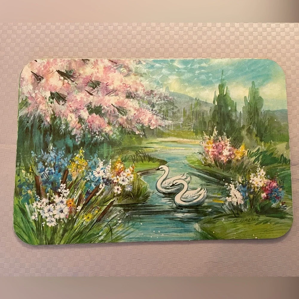 Vintage reusable country cottage/floral 15” x10” placemats by G. Galian in box.
